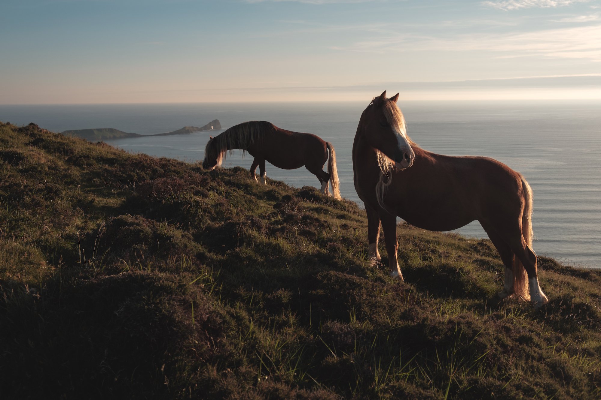 Rhossili Bay, Gower Peninsula, South Wales, Swansea - by Ben Holbrook-10