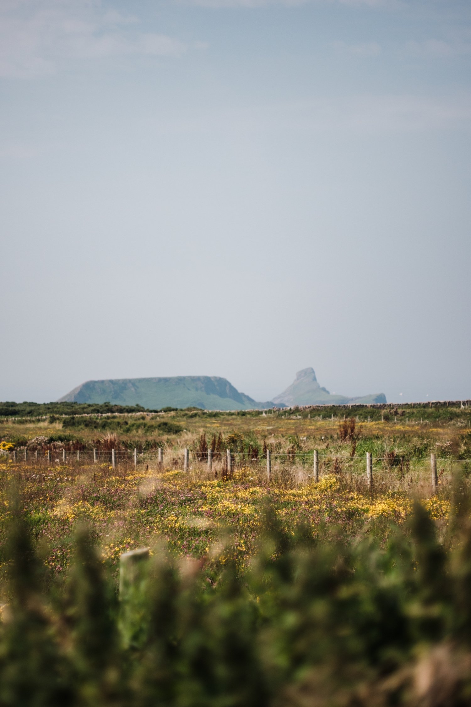 Rhosilli Beach Sunflowers - Gower Peninsula South Wales - Photography by Ben Holbrook from DriftwoodJournals.com-12