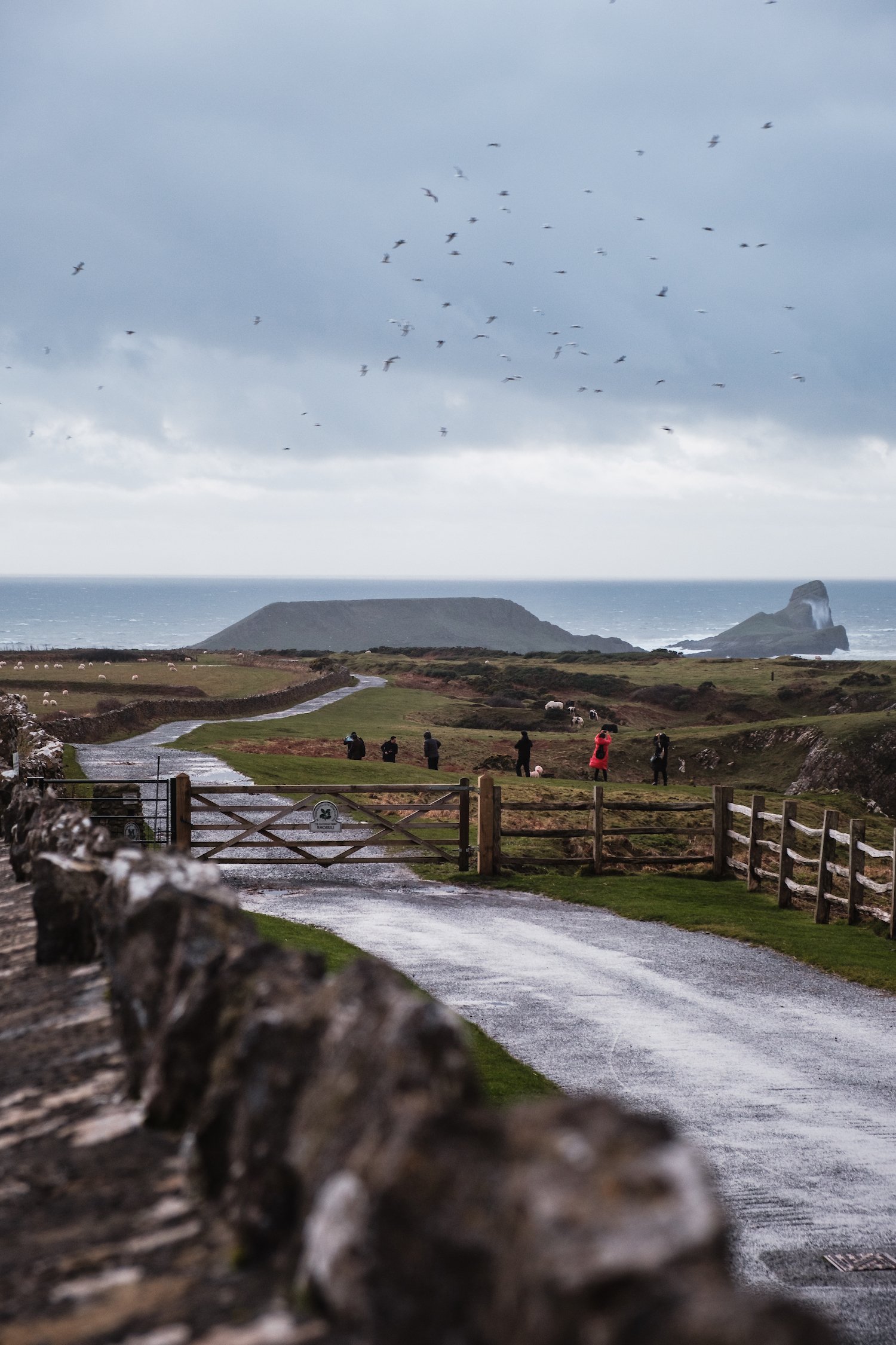 Rhossili Wales, UK - Travel Photography by Ben Holbrook from DriftwoodJournals.com-7468
