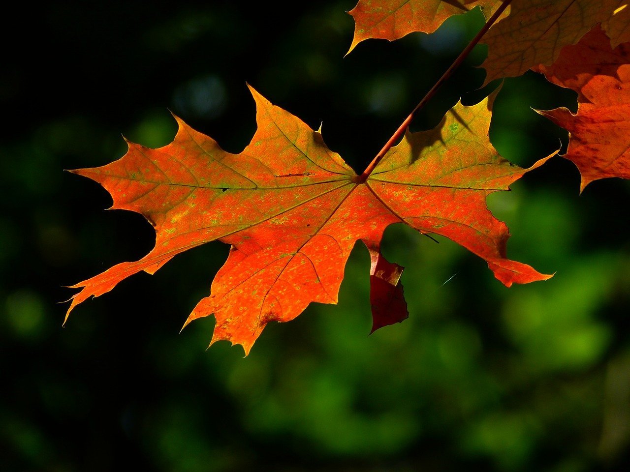 Autumnal Hiking Holidays in the UK