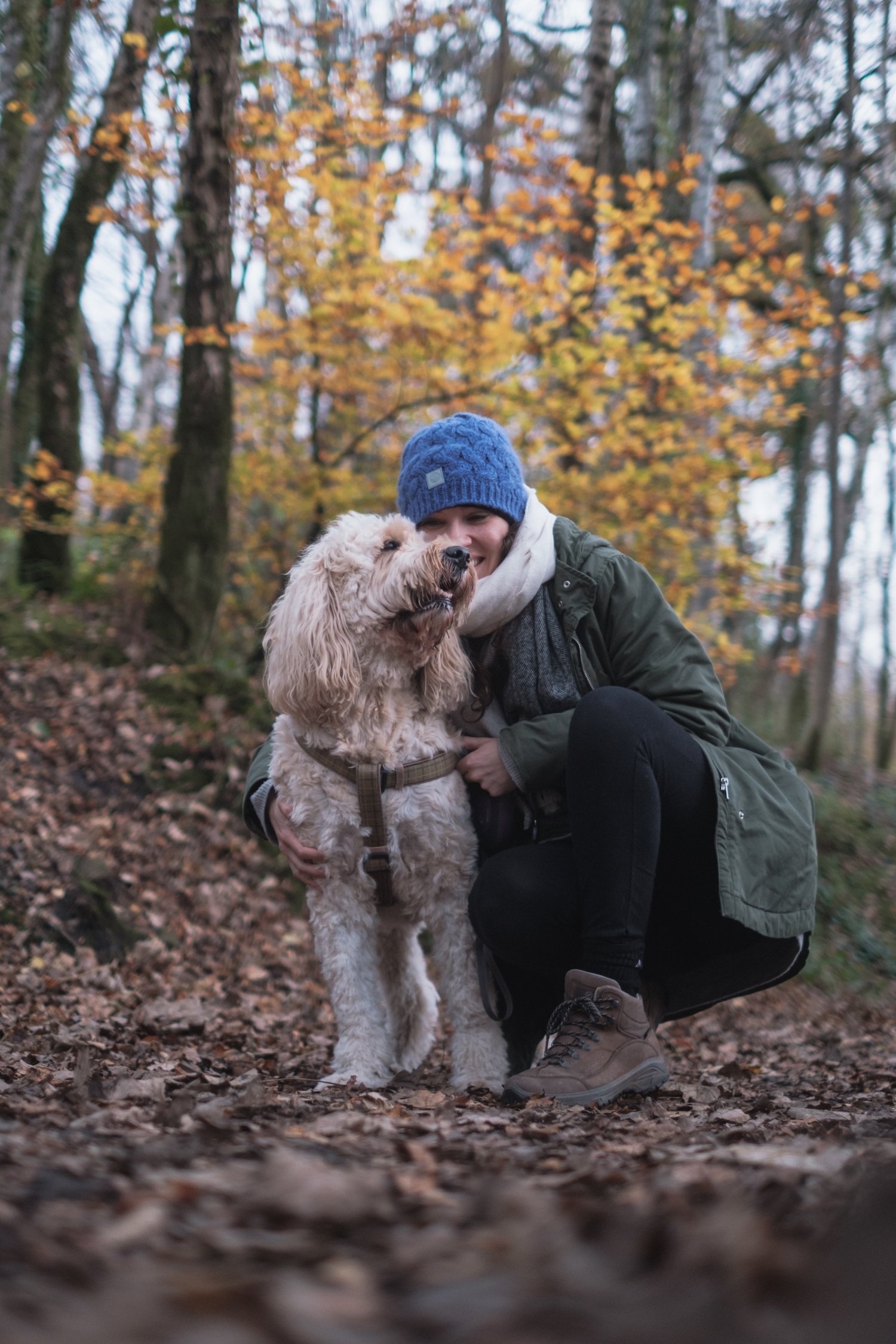 Ben Holbrook - Autumn - Gower Peninsula Mini Photo Project - Nov 2020-86