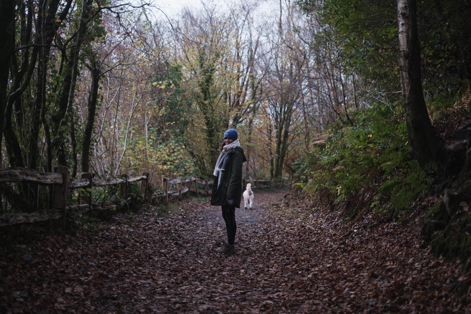 Ben Holbrook - Autumn - Gower Peninsula Mini Photo Project - Nov 2020-86