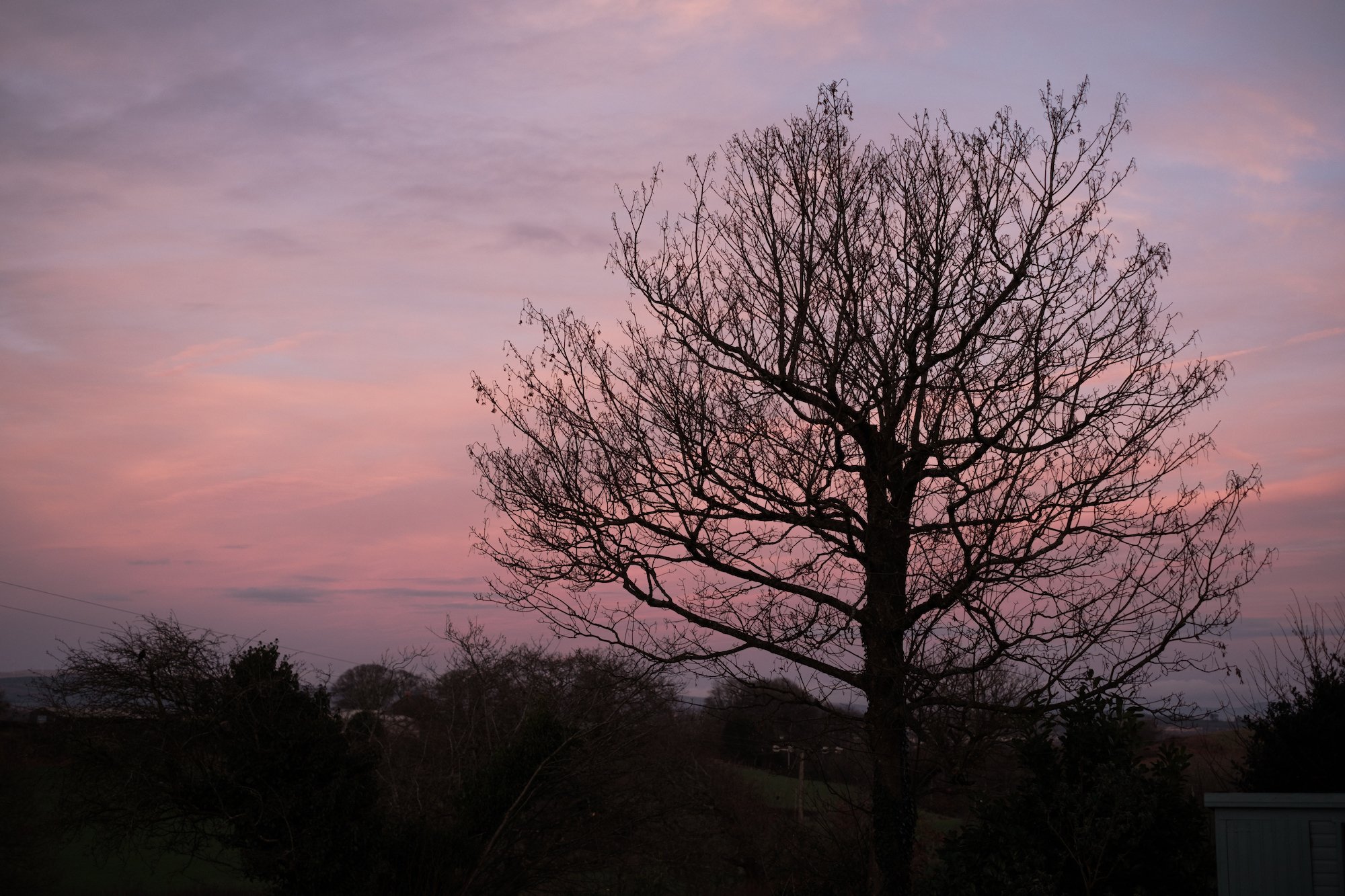 Christmas 2020 - A Wedding Proposal on the gower Peninsula by Ben Holbrook from DriftwoodJournals.com-42
