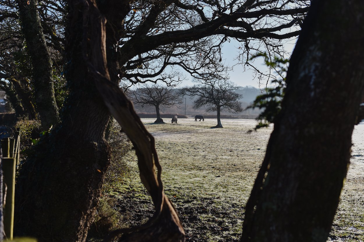 Llanrhidian, Gower Peninsula, South Wales - Winter 2020 - by Ben Holbrook from DriftwoodJournals.com-9