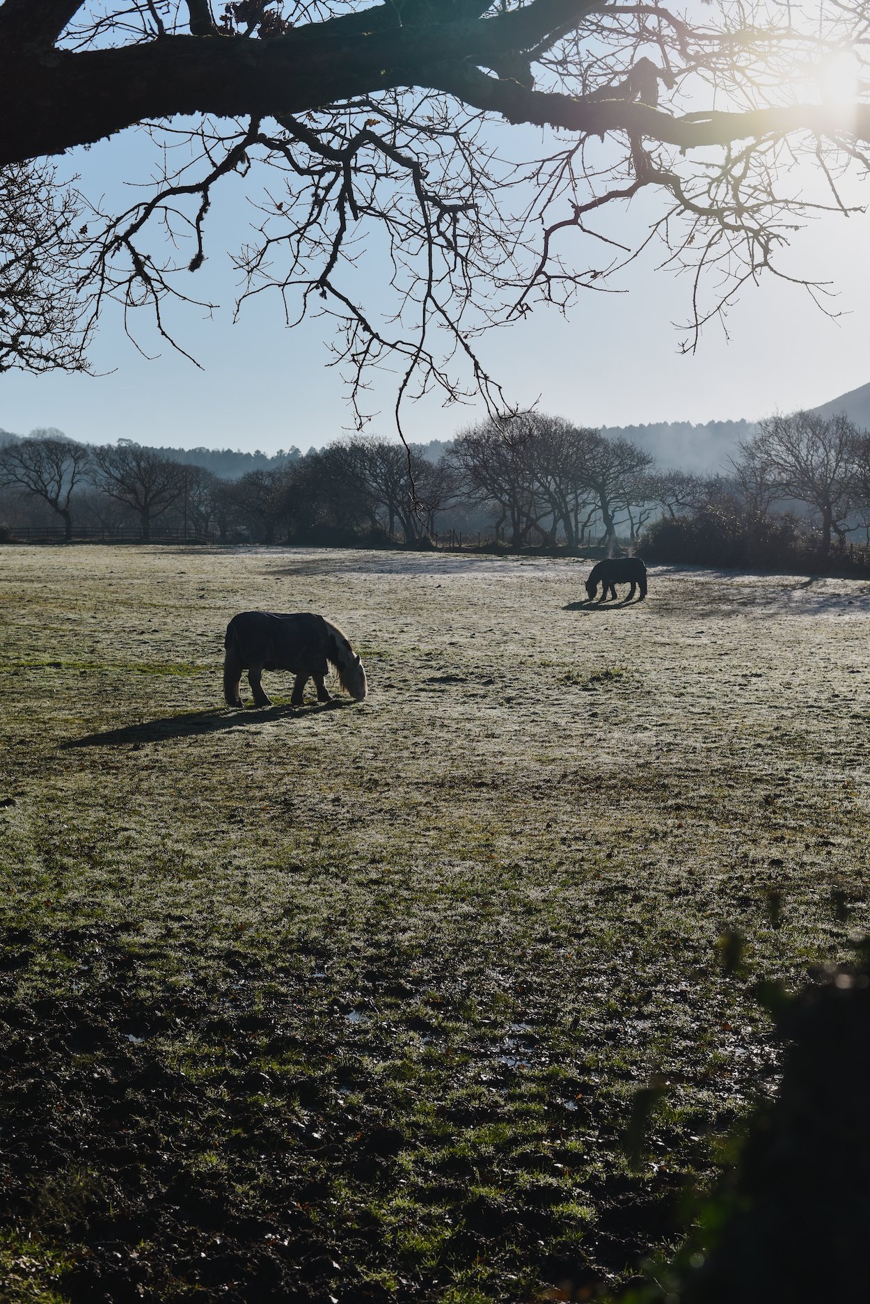 Llanrhidian, Gower Peninsula, South Wales - Winter 2020 - by Ben Holbrook from DriftwoodJournals.com-9