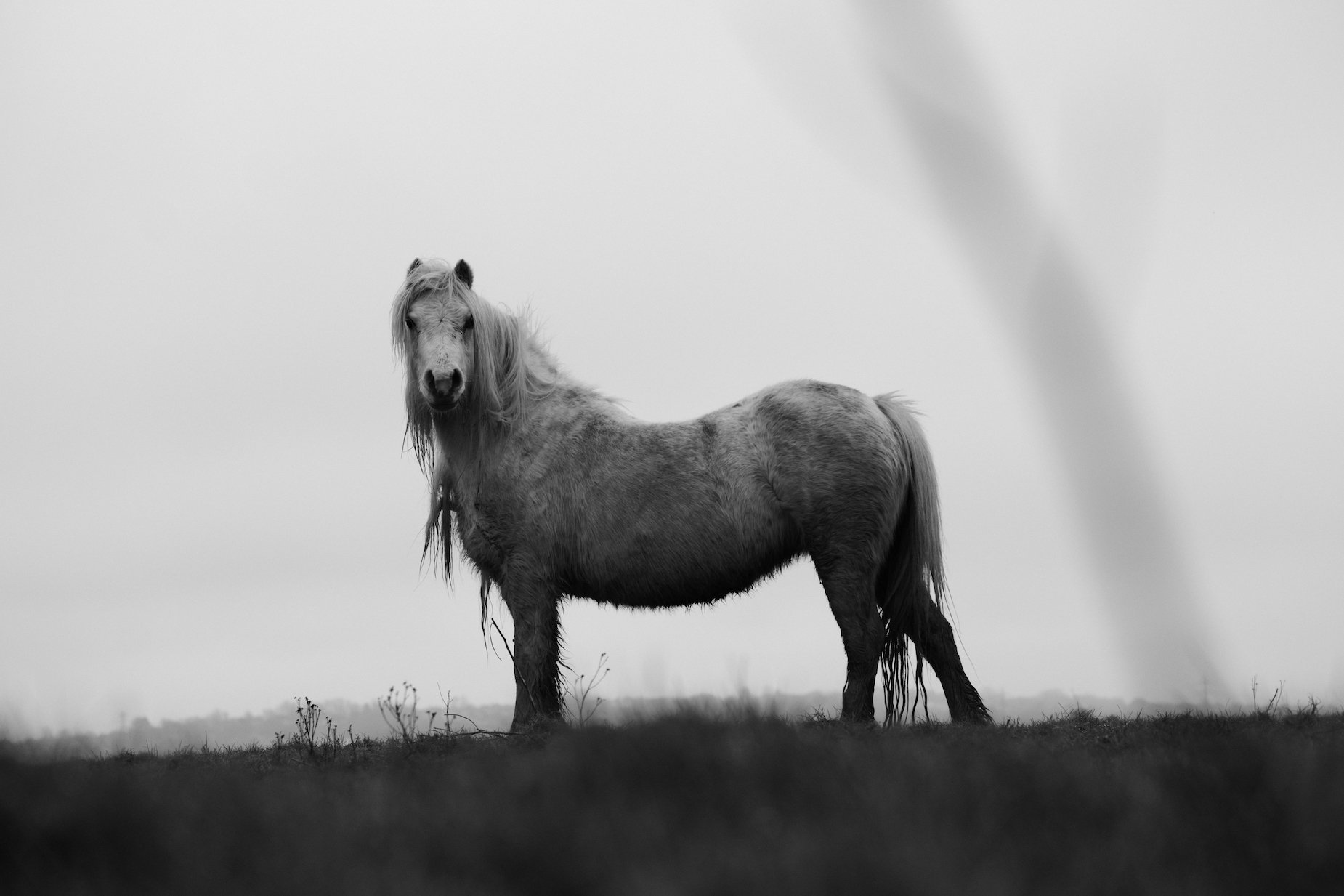 Penclawdd Village, Gower Peninsula, South Wales, UK - Feb 26th 2021 - by Ben Holbrook