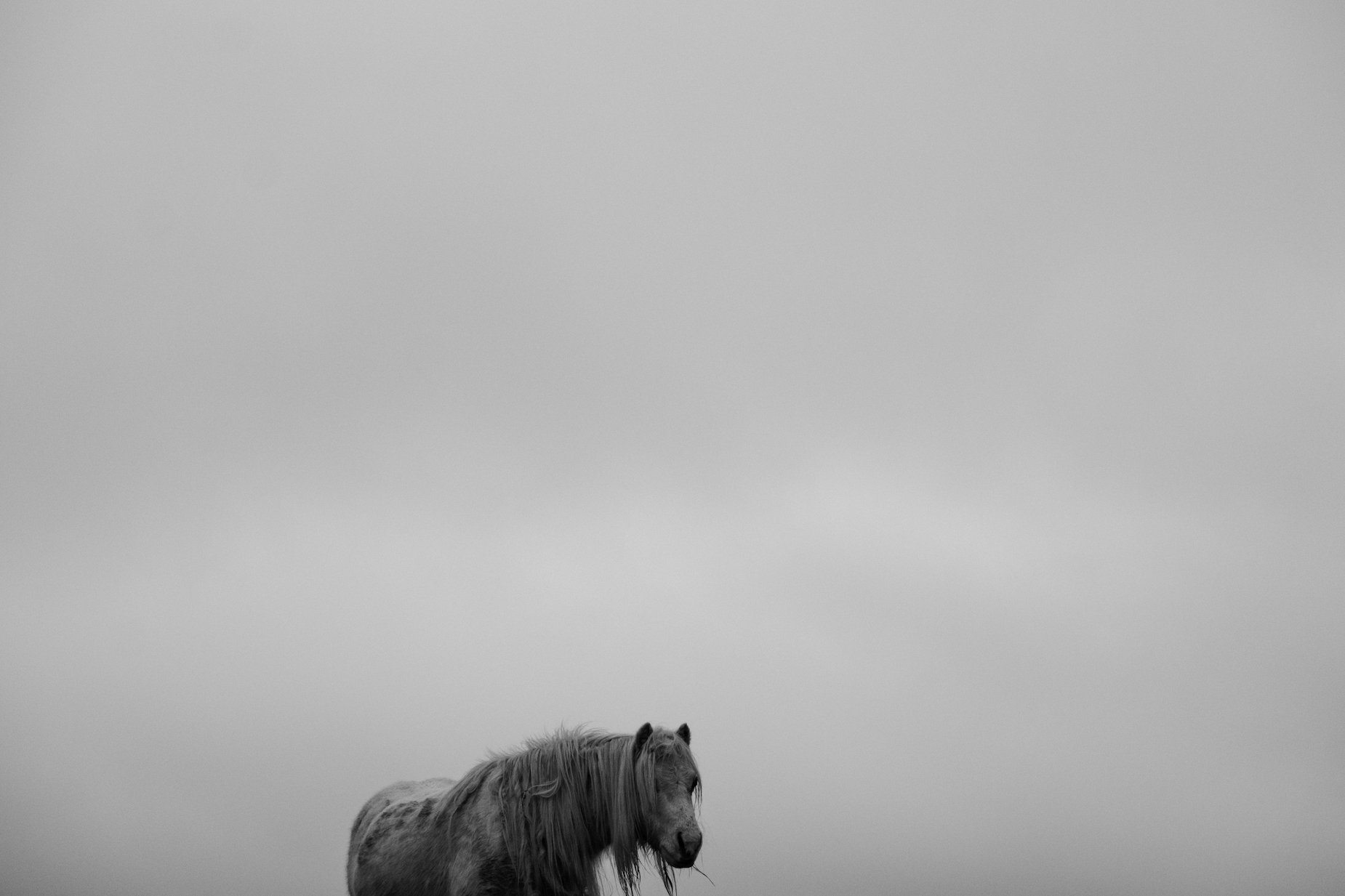 Penclawdd Village, Gower Peninsula, South Wales, UK - Feb 26th 2021 - by Ben Holbrook