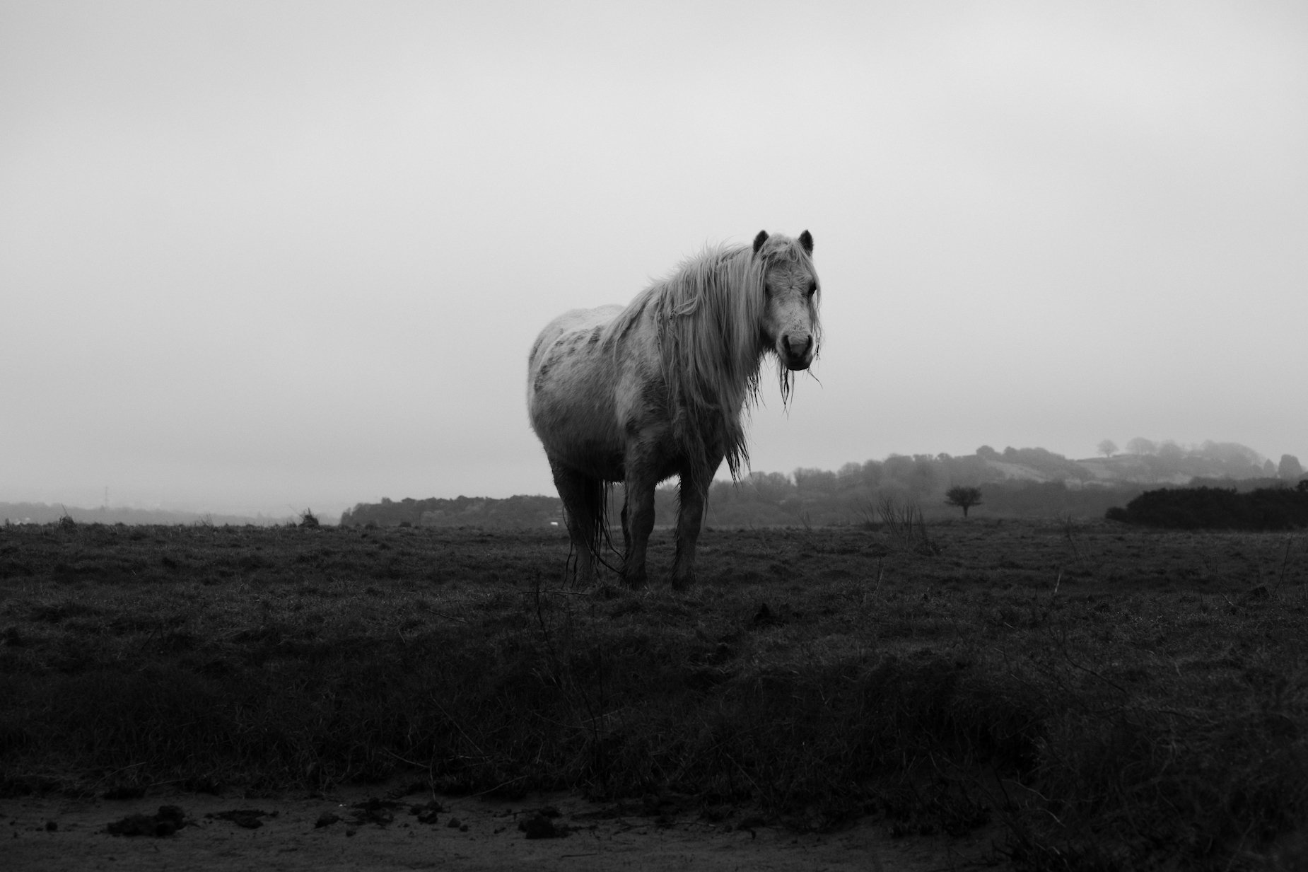 Penclawdd Village, Gower Peninsula, South Wales, UK - Feb 26th 2021 - by Ben Holbrook