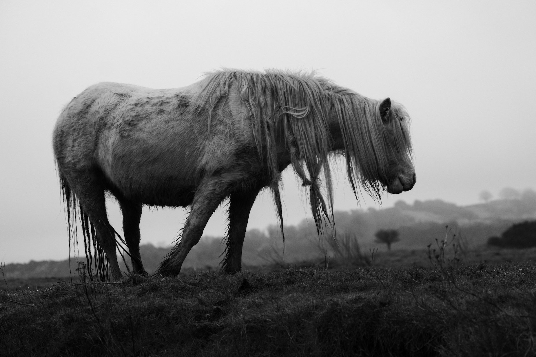 Penclawdd Village, Gower Peninsula, South Wales, UK - Feb 26th 2021 - by Ben Holbrook