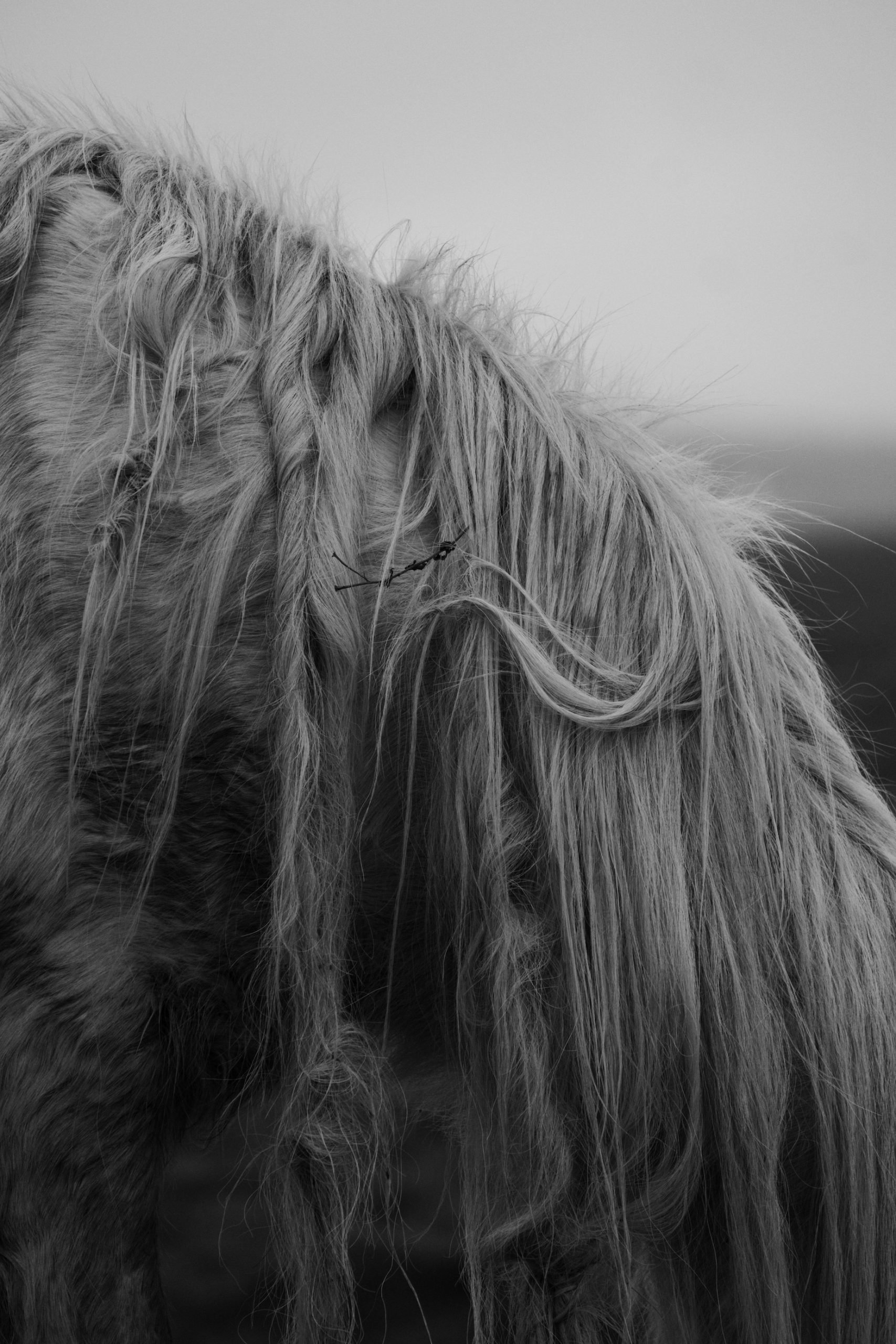 Penclawdd Village, Gower Peninsula, South Wales, UK - Feb 26th 2021 - by Ben Holbrook