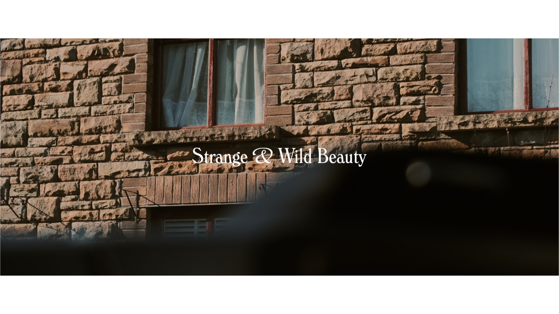 Strange, Wild Beauty: Clyne Gardens and Swansea Bay Video by Ben Holbrook12