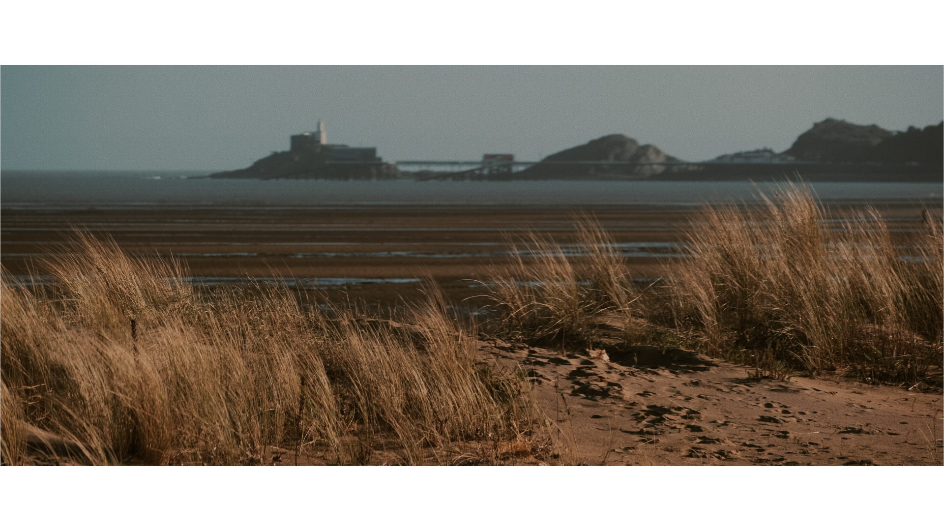 Strange, Wild Beauty: Clyne Gardens and Swansea Bay Video by Ben Holbrook12