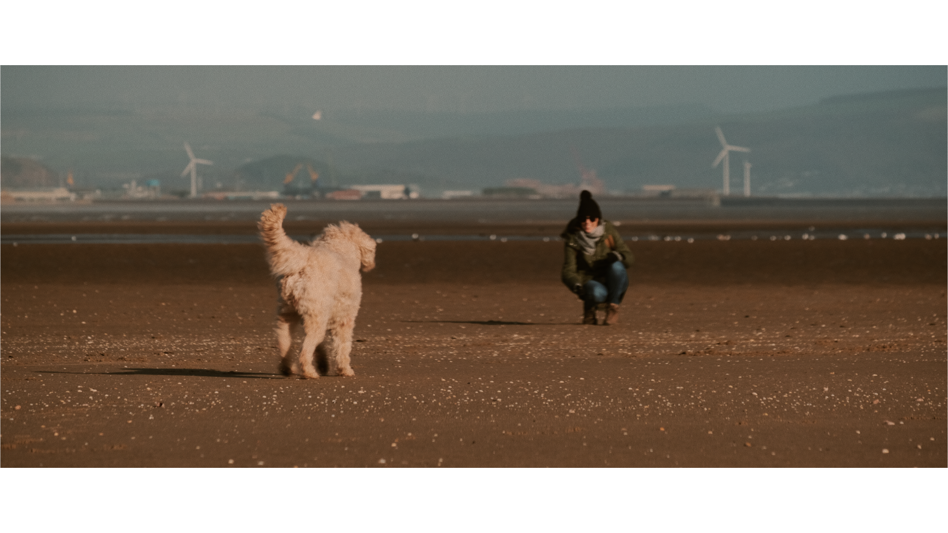 Strange, Wild Beauty: Clyne Gardens and Swansea Bay Video by Ben Holbrook12