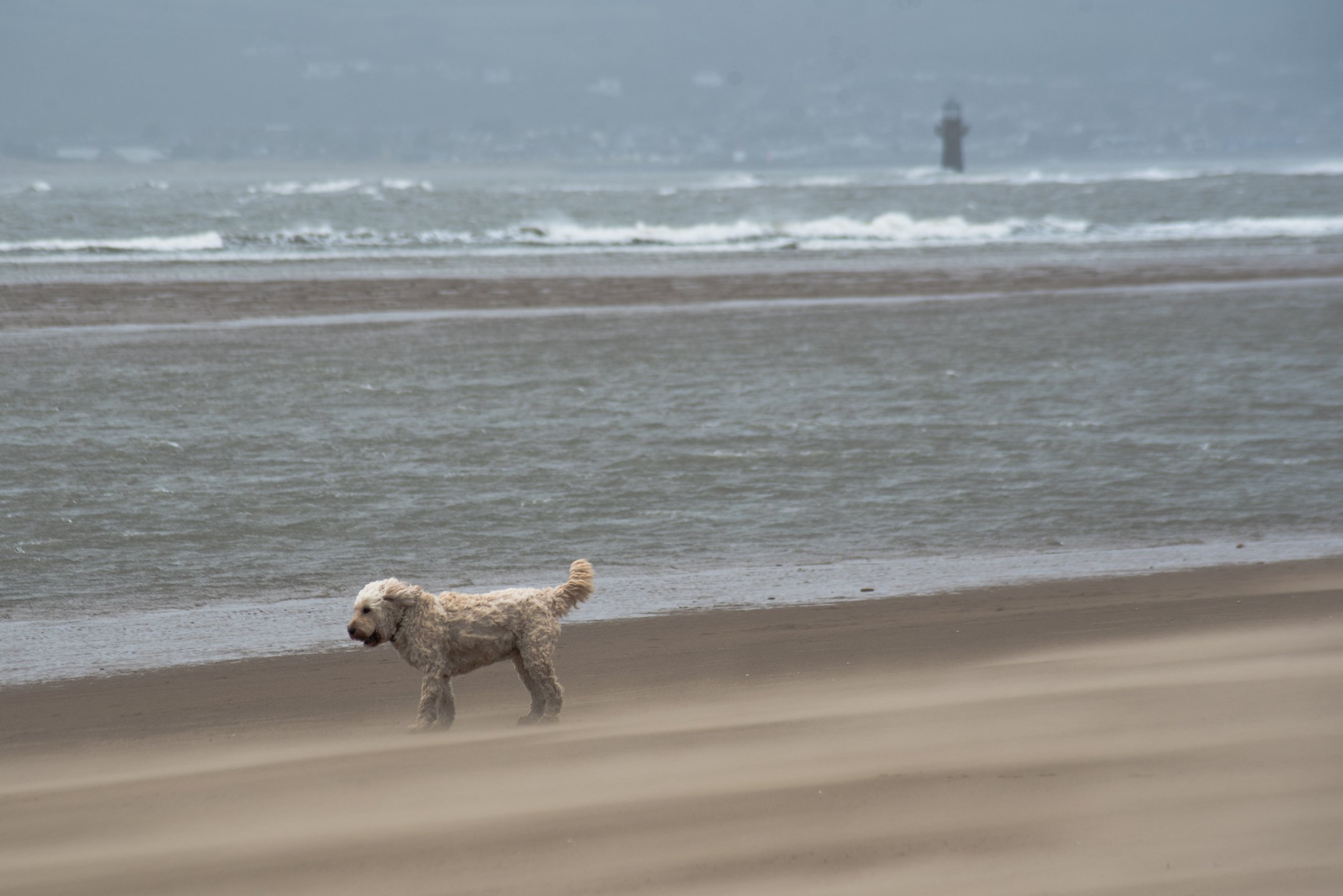 Llanmadoc Beach - Whitford Point Gower Peninsula Ben Holbrook