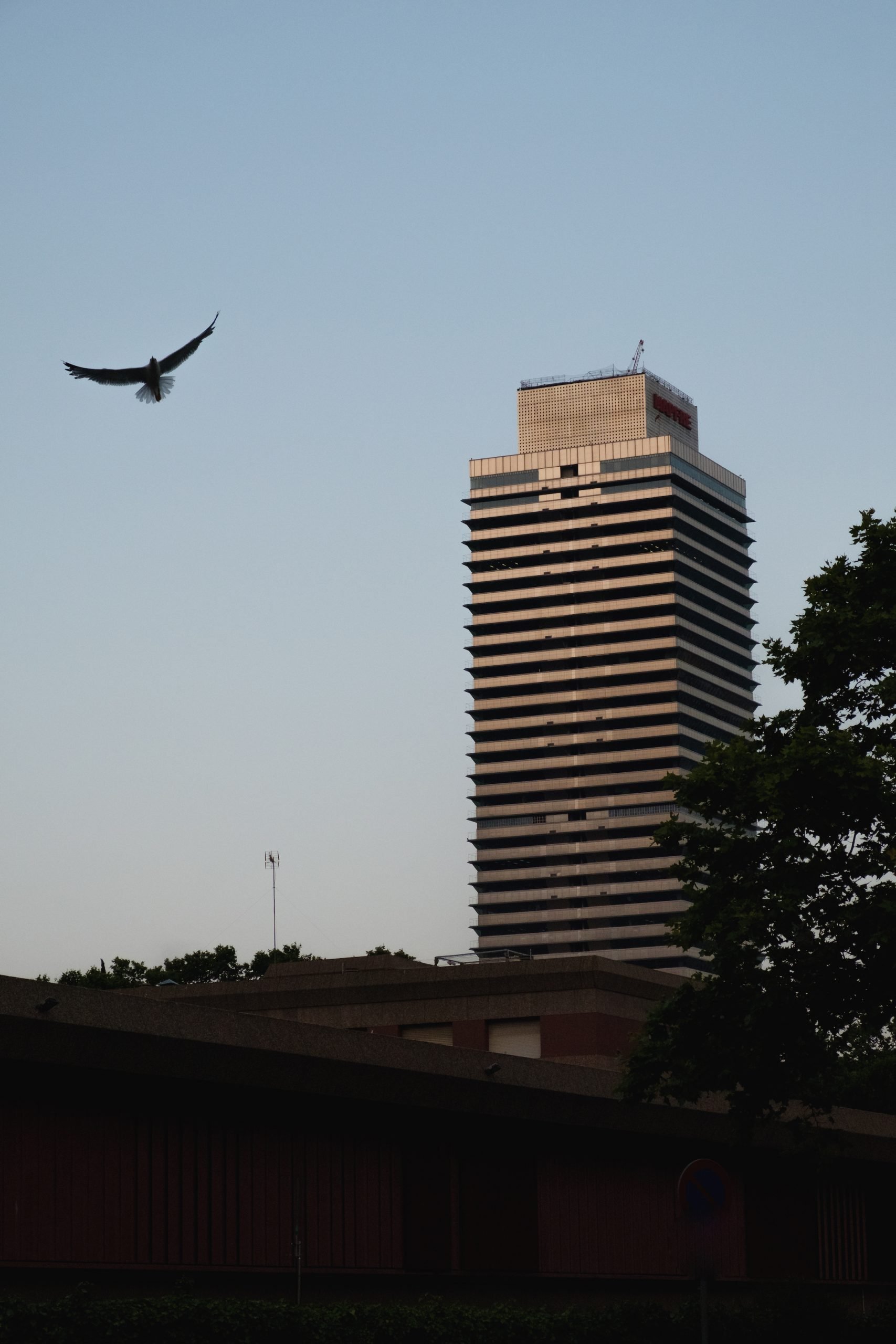 Barcelona- A Day, A Life by Ben Holbrook from Driftwood Journals-48