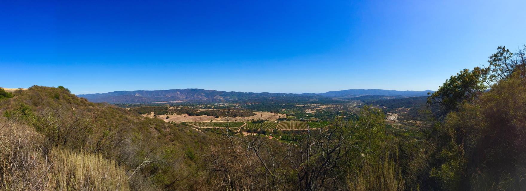 Ojai Valley