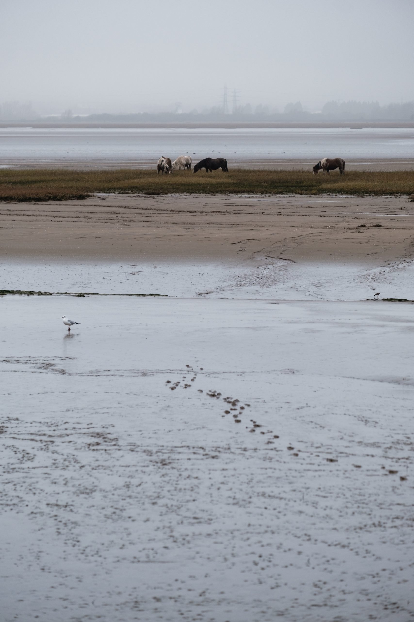 Penclawdd Village, Gower, Swansea - by Ben Holbrook from DriftwoodJournals.com174