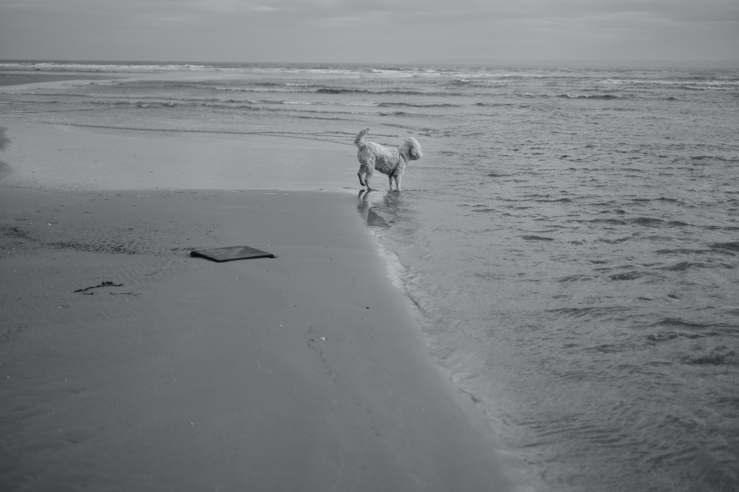 Tor Bay, Gower Peninsula, South Wales, Swansea - Fuji XT3 + 23mm F/2 SOOC Photo Samples by Ben Holbrook from DriftwoodJournals.com