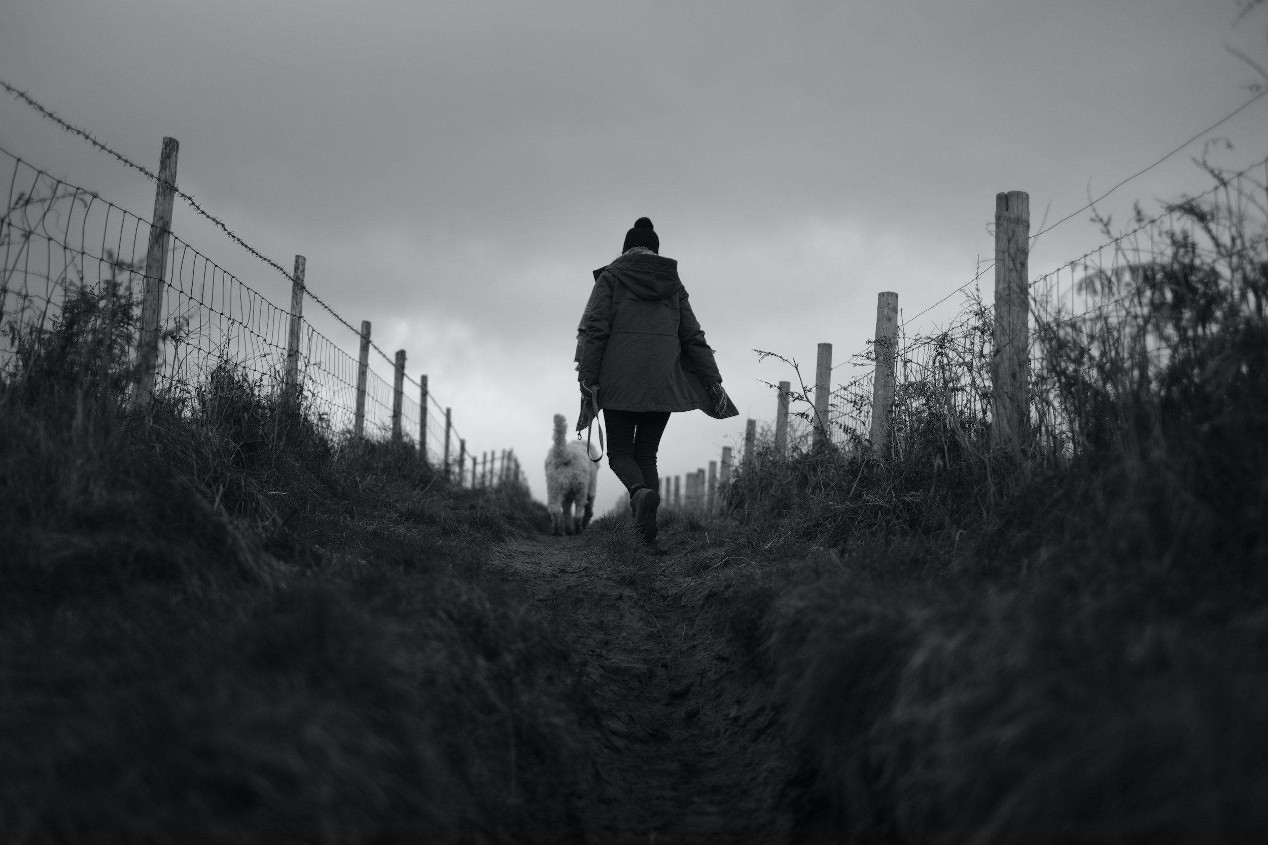 Tor Bay, Gower Peninsula, South Wales, Swansea - Fuji XT3 + 23mm F/2 SOOC Photo Samples by Ben Holbrook from DriftwoodJournals.com