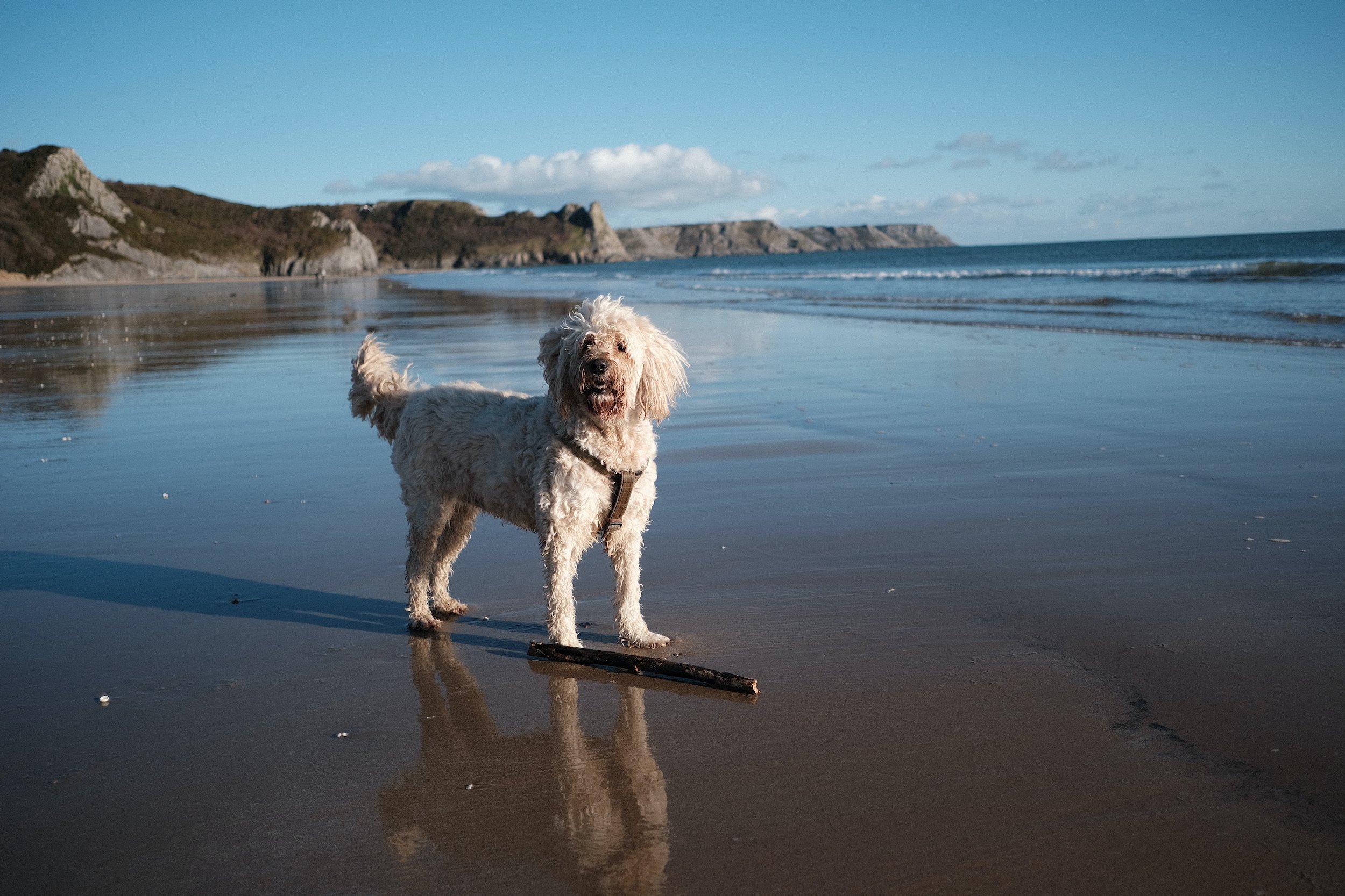 Tor Bay, Gower Peninsula, South Wales, Swansea - Fuji XT3 + 23mm F/2 SOOC Photo Samples by Ben Holbrook from DriftwoodJournals.com