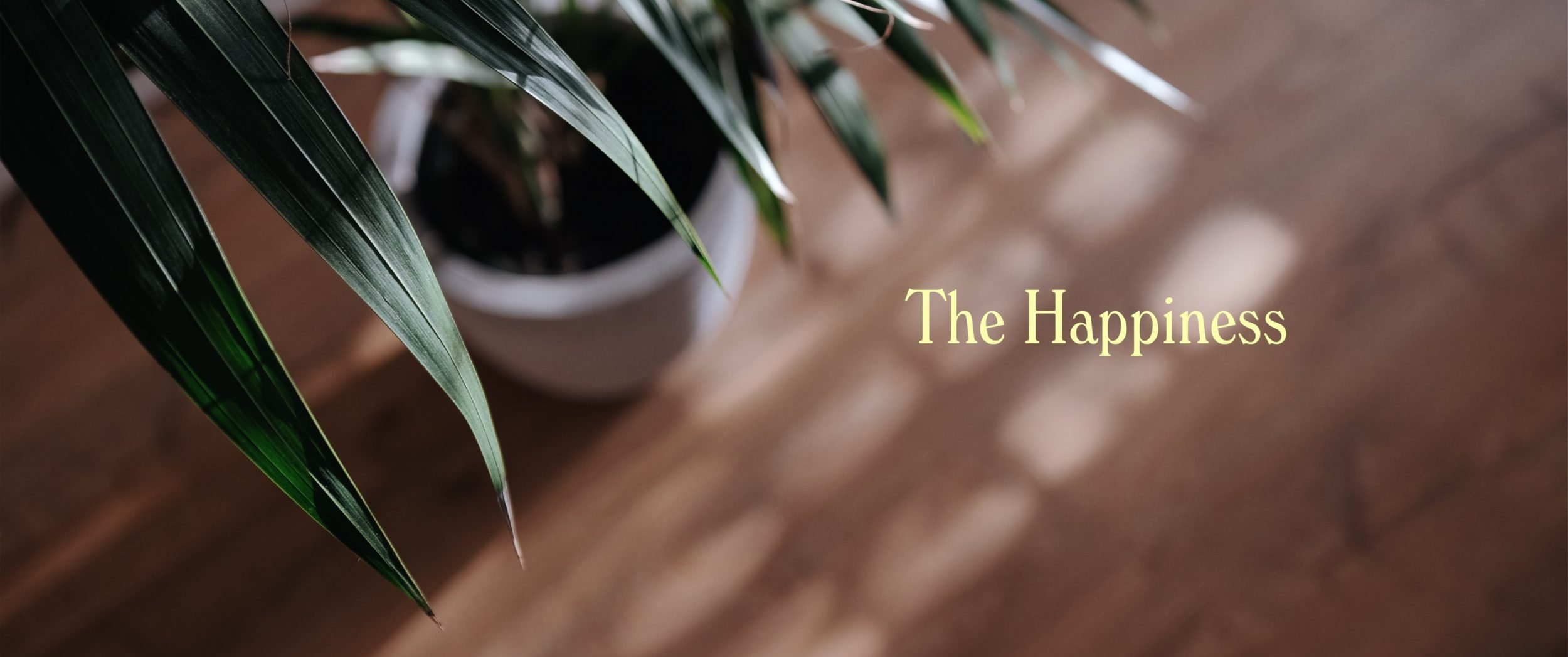 The Happiness by Ben Holbrook - Fujifilm XT4 with Sigma 18-35mm f:1.8 Sample Video Footage and Review0