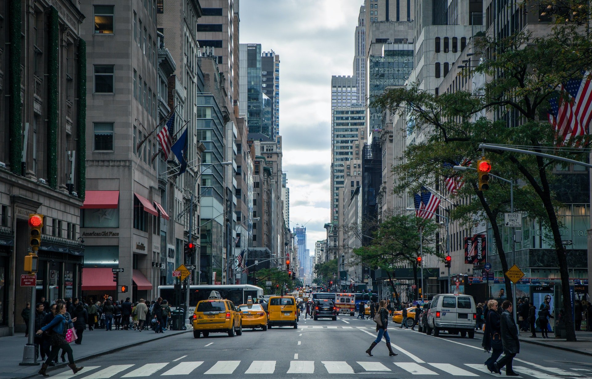 The Top 5 Best Things to Experience in New York City
