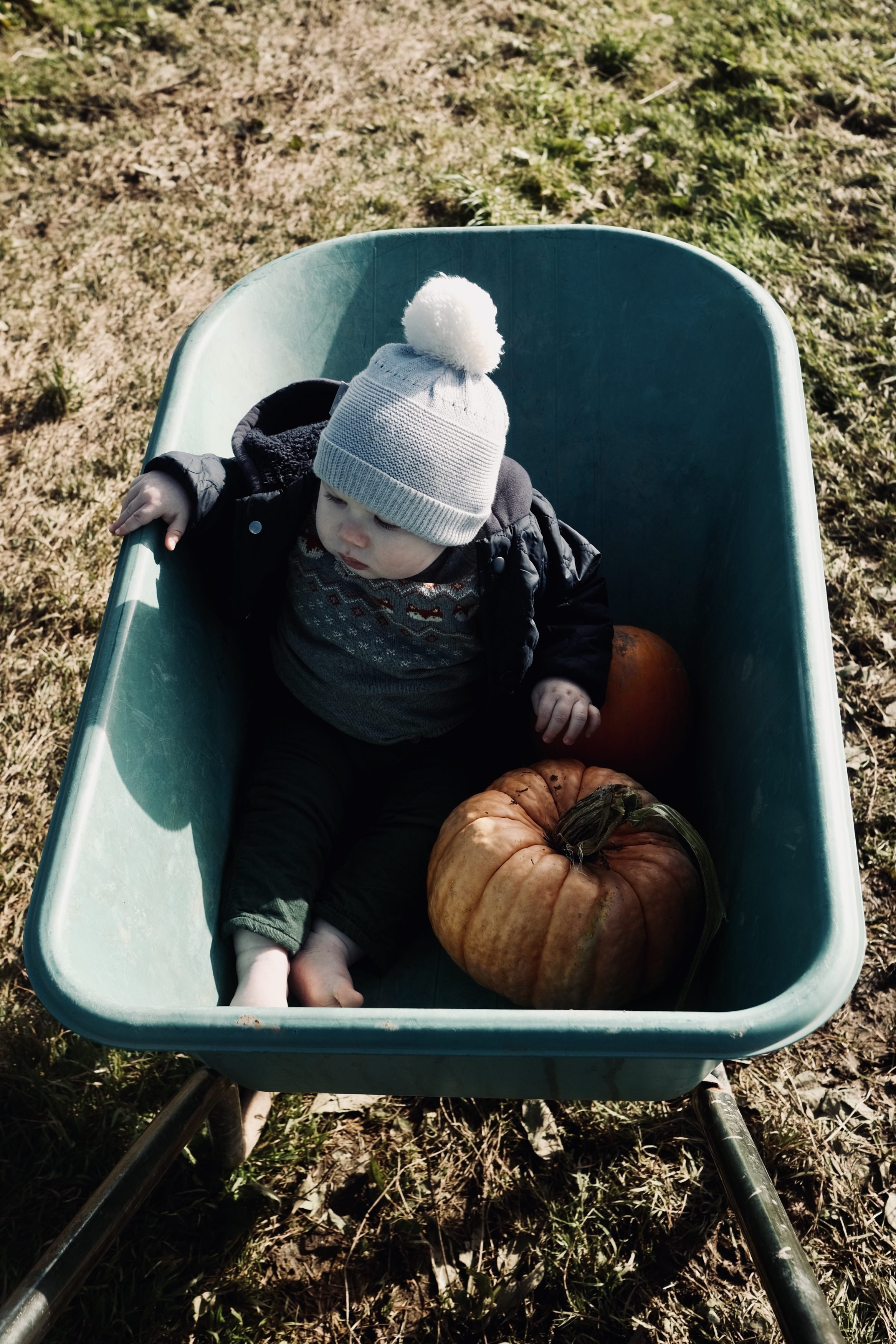 Pumkin Picking Gower Fresh Farm Swansea - Fujifilm XT4 with 23mm f:2 - Ben Holbrook6