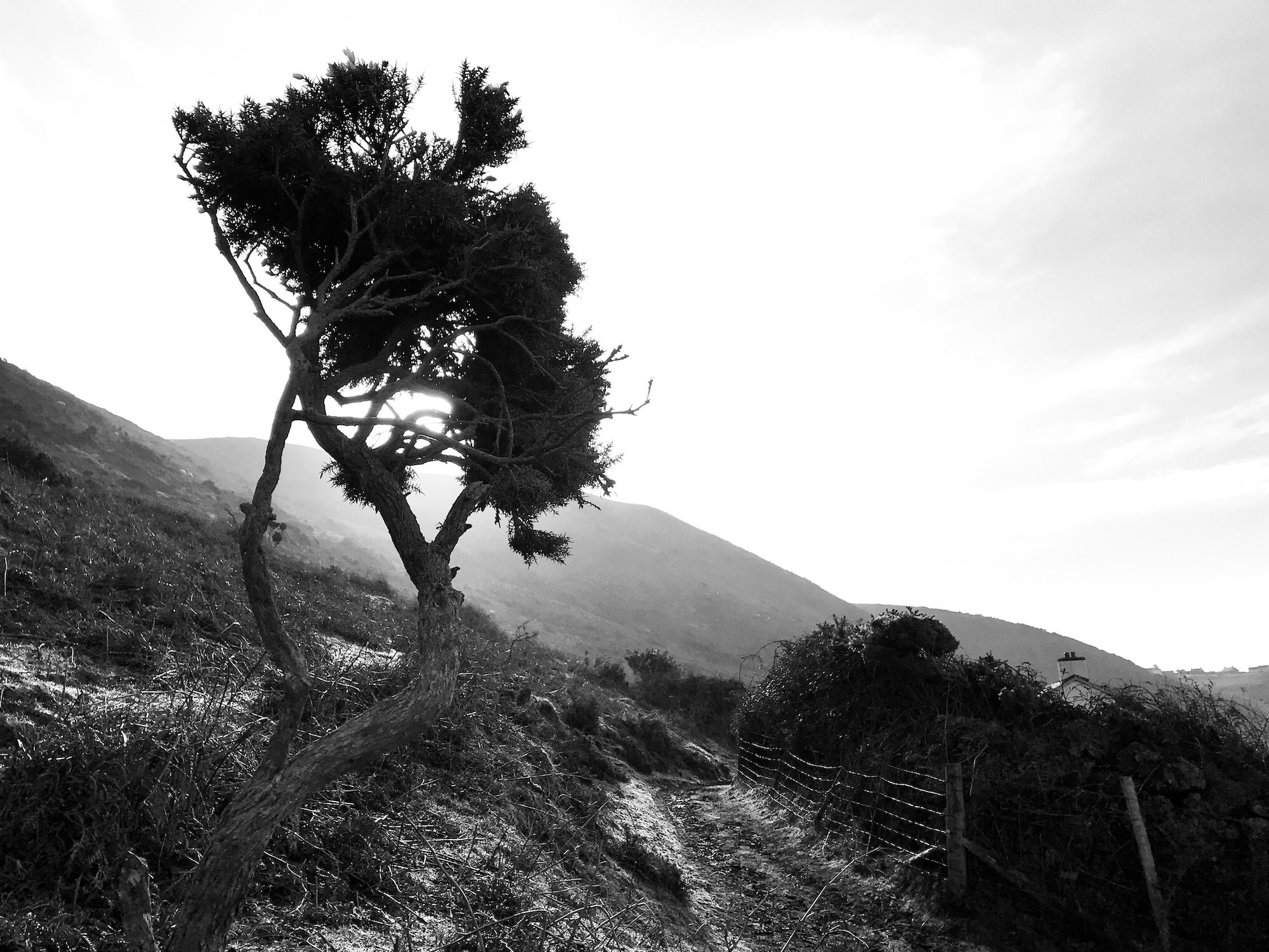 Rhossili Bay Beach Gower Peninsula Mountain Bike Trail Black and White Photographs - Copyright Ben Holbrook from DriftwoodJournals.com5