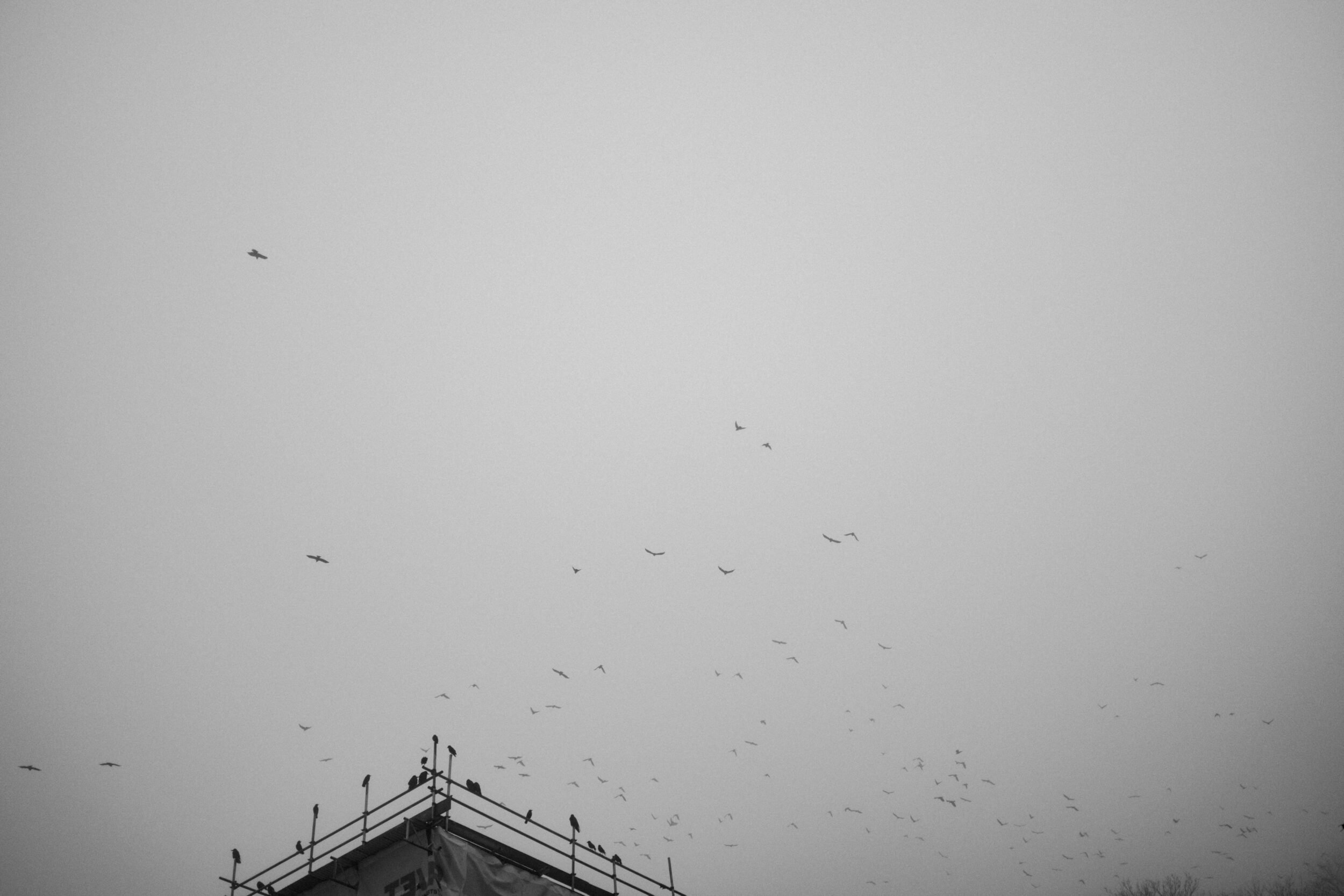 Swansea Wales Street Photography - Ben Holbrook-15