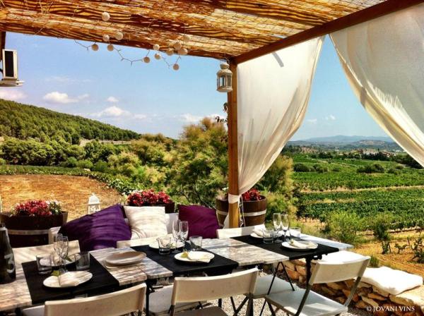 Cava Berdie Vineyard and cava winery in the Penedes, Barcelona Catalonia