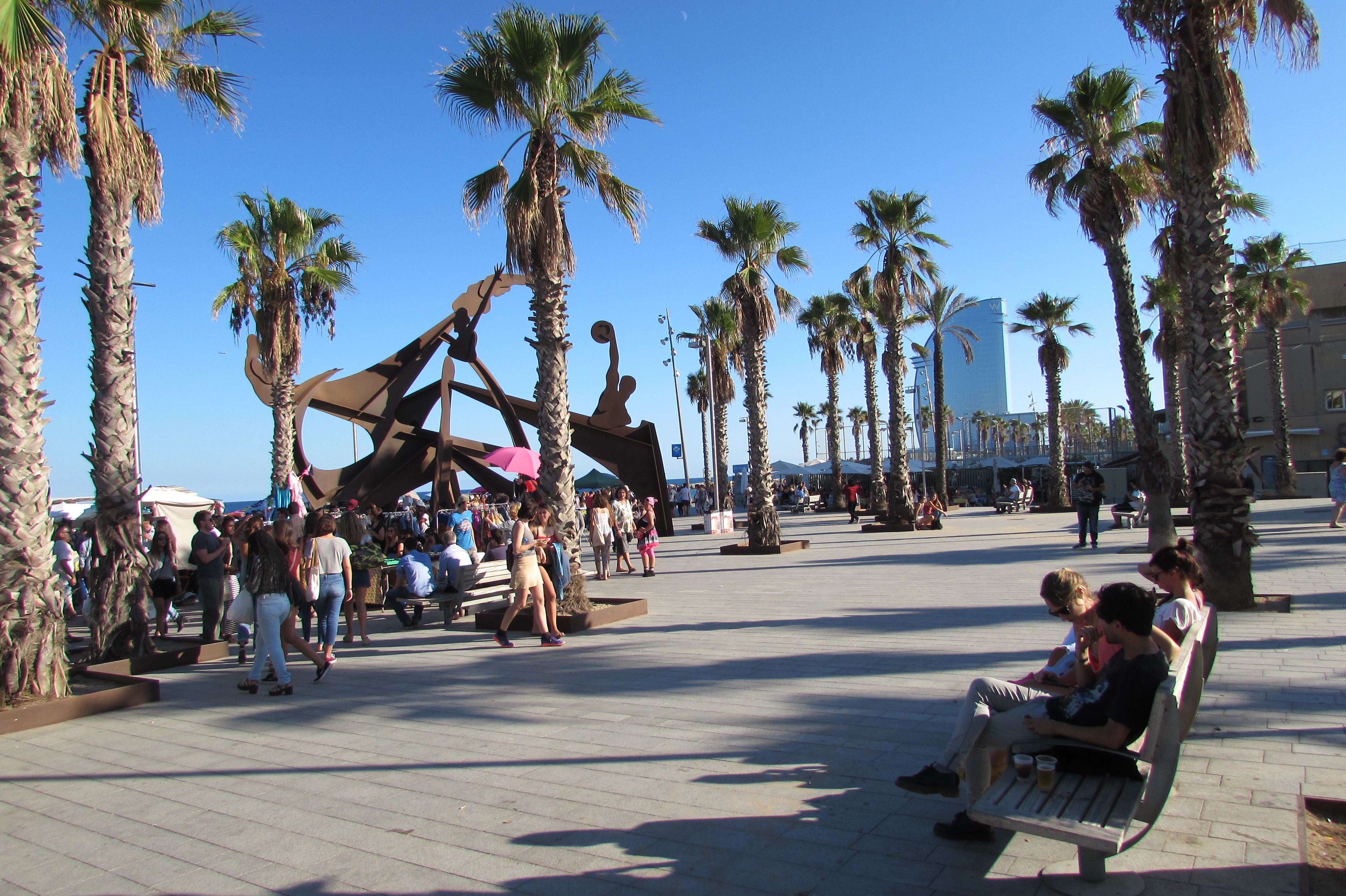 Palm Trees And Sunshine At Barceloneta Beach Barcelona Driftwood Palm Trees And Sunshine At Barceloneta Beach Barcelona