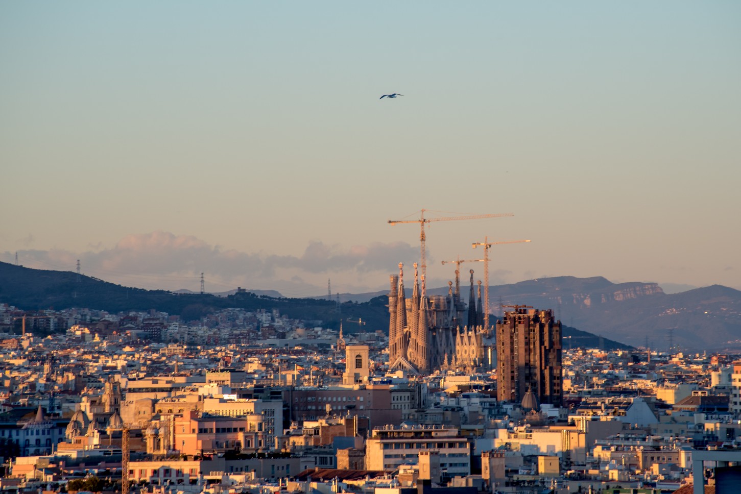 Views of La Sagrada Familia at sunset in Barcelona