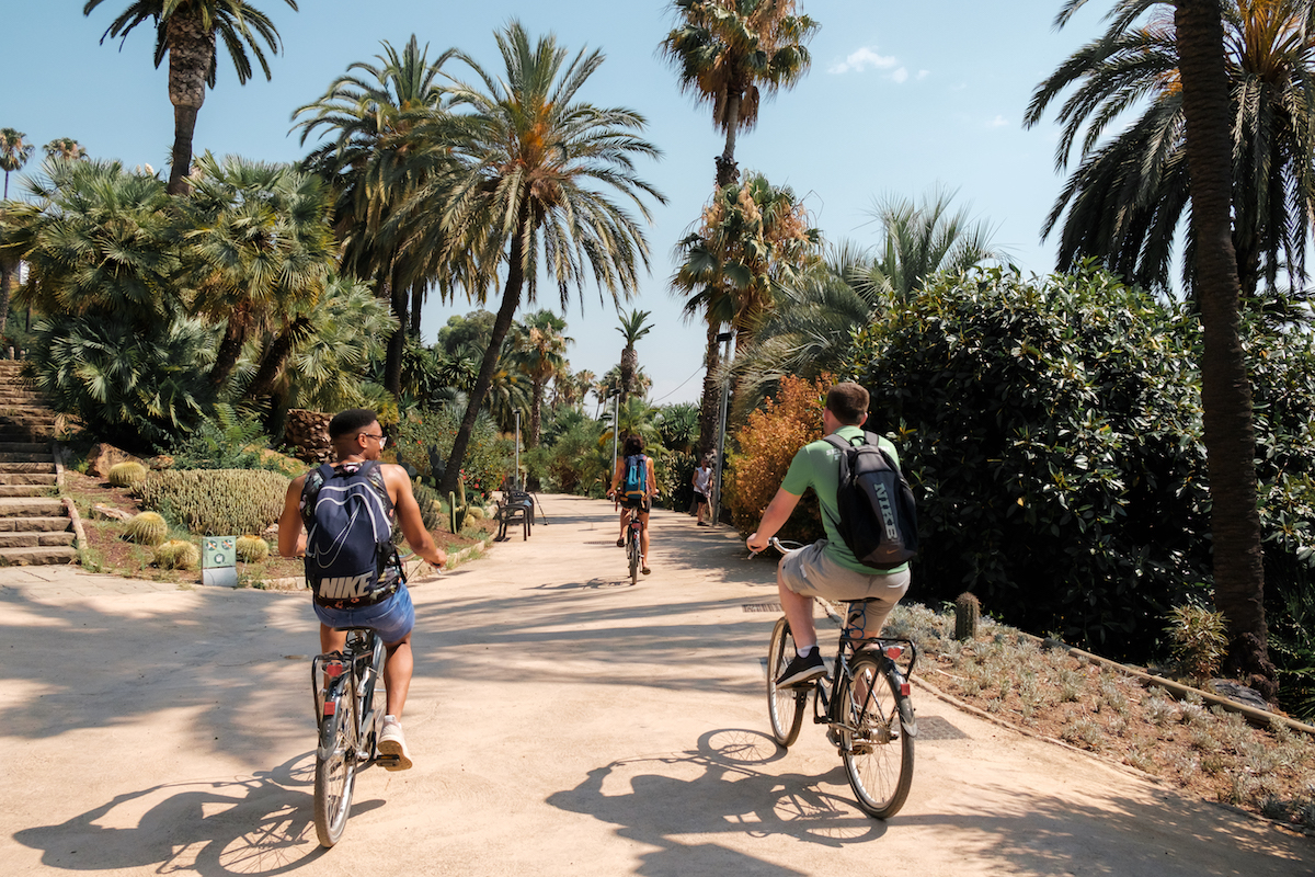 Cruising among Barcelona's tropical palms on the Steel Donkey Bike Tour. Steel Donkey Bike Tours in Barcelona