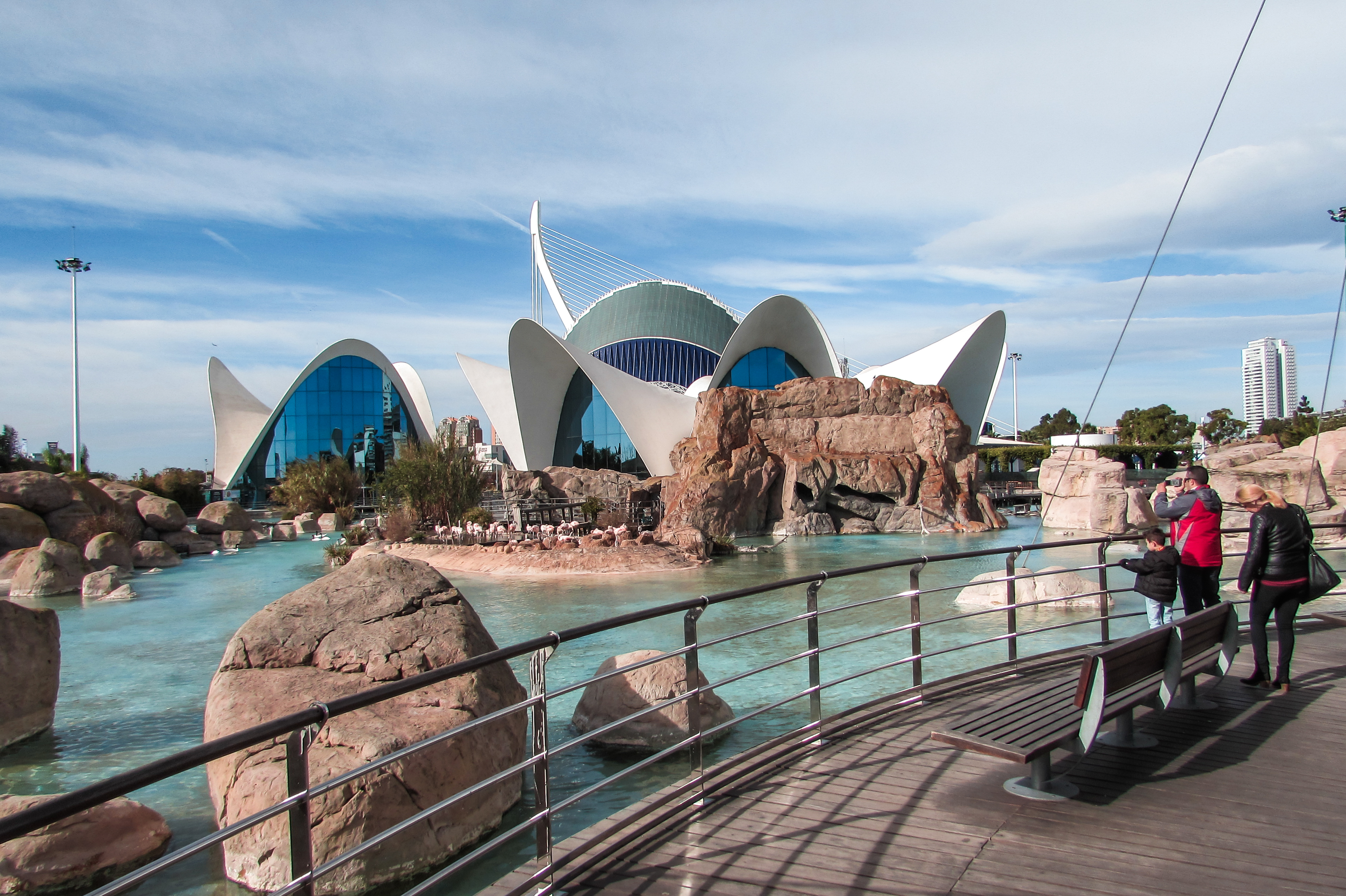 Valencia's Oceanogràfic aquarium - by Ben Holbrook