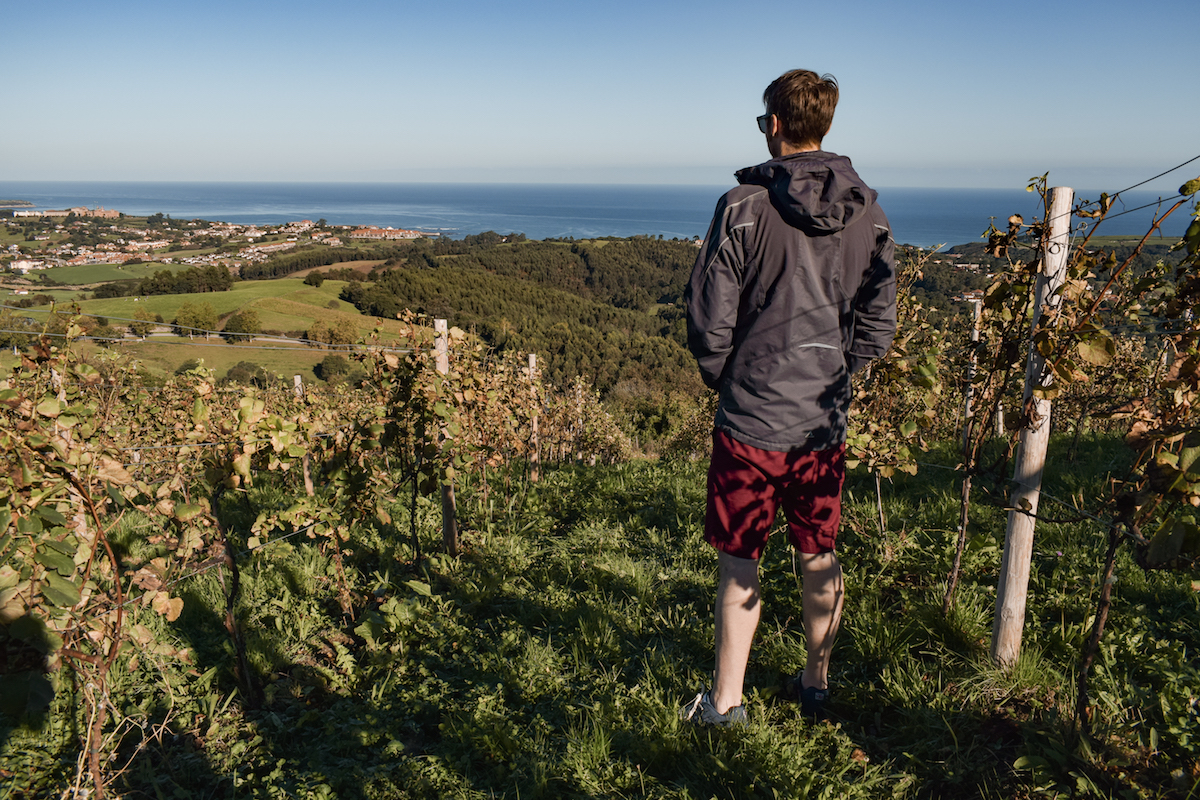 The vine-clad hills of Bodega Miradorio de Ruiloba in Cantabria. The vine-clad hills of Bodega Miradorio de Ruiloba in Cantabria.