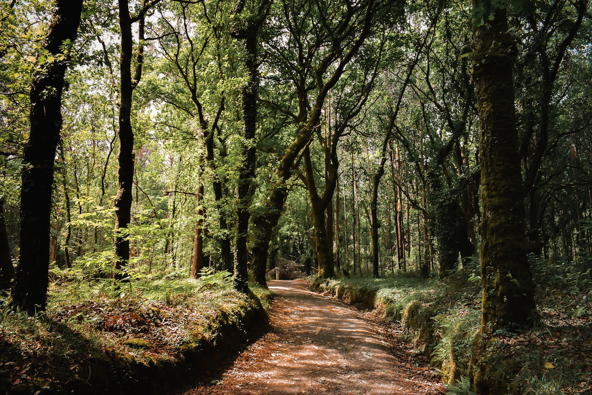 Things to Do in Galicia, Northern Spain - by Ben Holbrook Things to Do in Galicia, Northern Spain - by Ben Holbrook