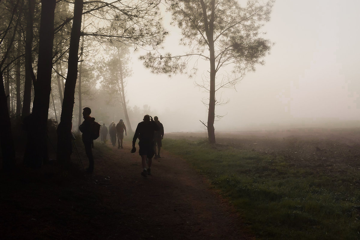 Early morning mist on the Camino de Santiago in northern Spain - by Ben Holbrook Early morning mist on the Camino de Santiago in northern Spain - by Ben Holbrook