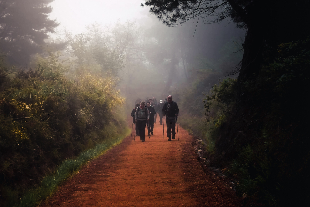 Early morning mist on the Camino de Santiago in northern Spain - by Ben Holbrook Early morning mist on the Camino de Santiago in northern Spain - by Ben Holbrook