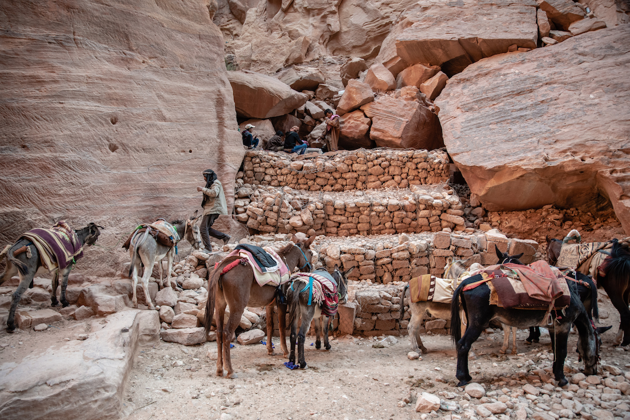 Petra horse and donkey taxi riders taking a break - by Ben Holbrook from DriftwoodJournals.com Petra horse and donkey taxi riders taking a break - by Ben Holbrook from DriftwoodJournals.com