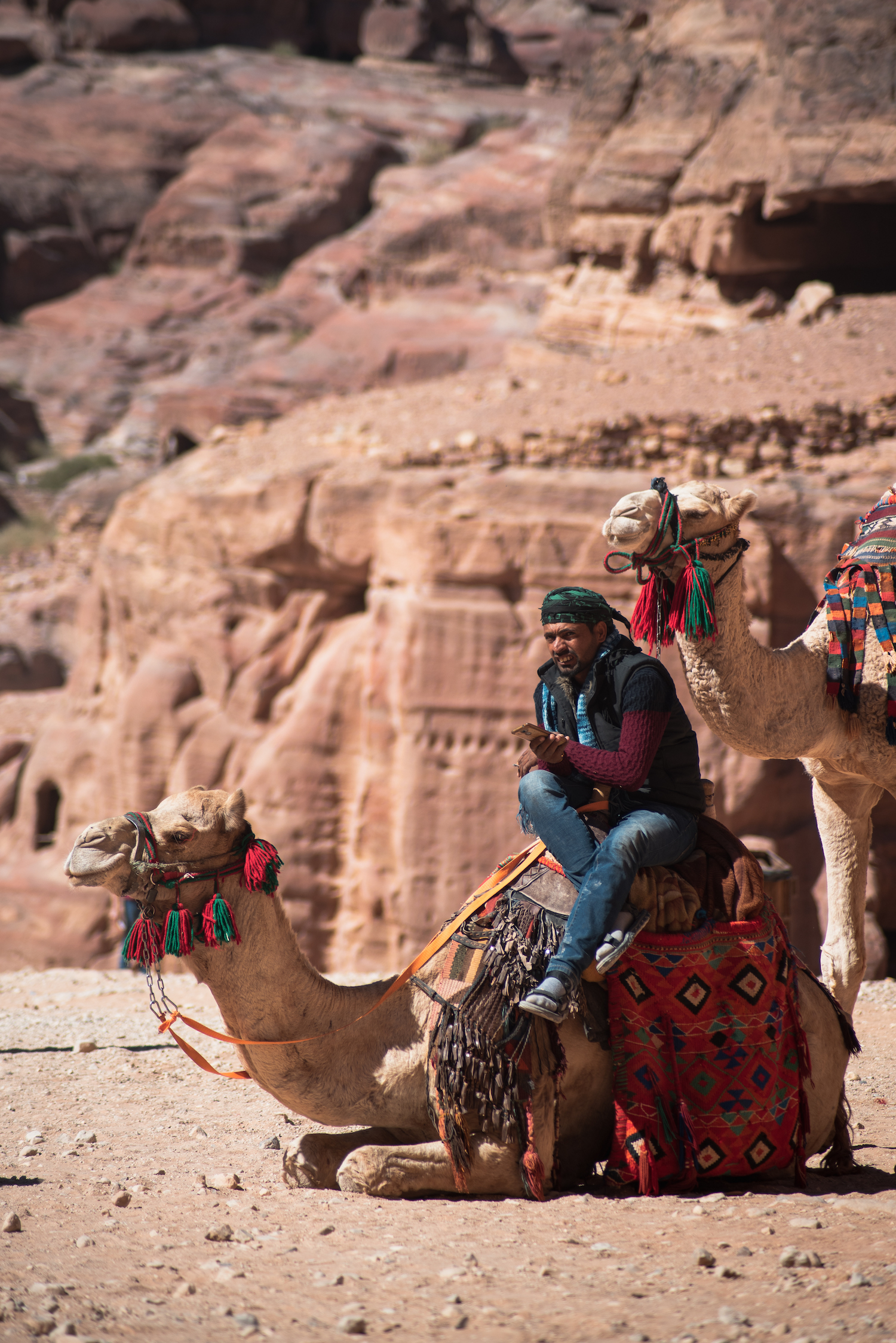 Modern-day Petra. A camel-taxi rider with a gold phone. Modern-day Petra. A camel-taxi rider with a gold phone.
