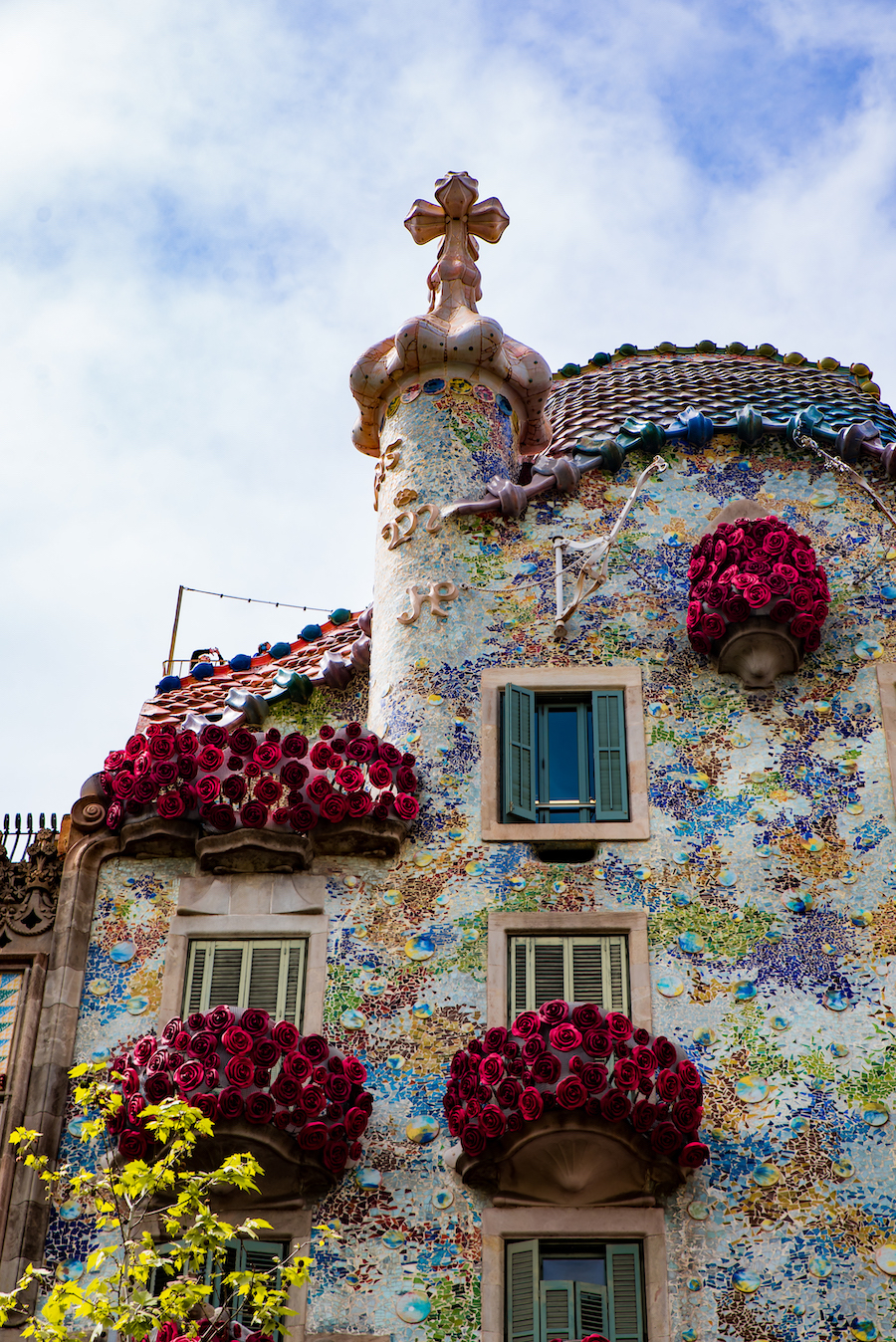 Celebrate El Dia de Sant Jordi in Barcelona (April 23rd) Driftwood