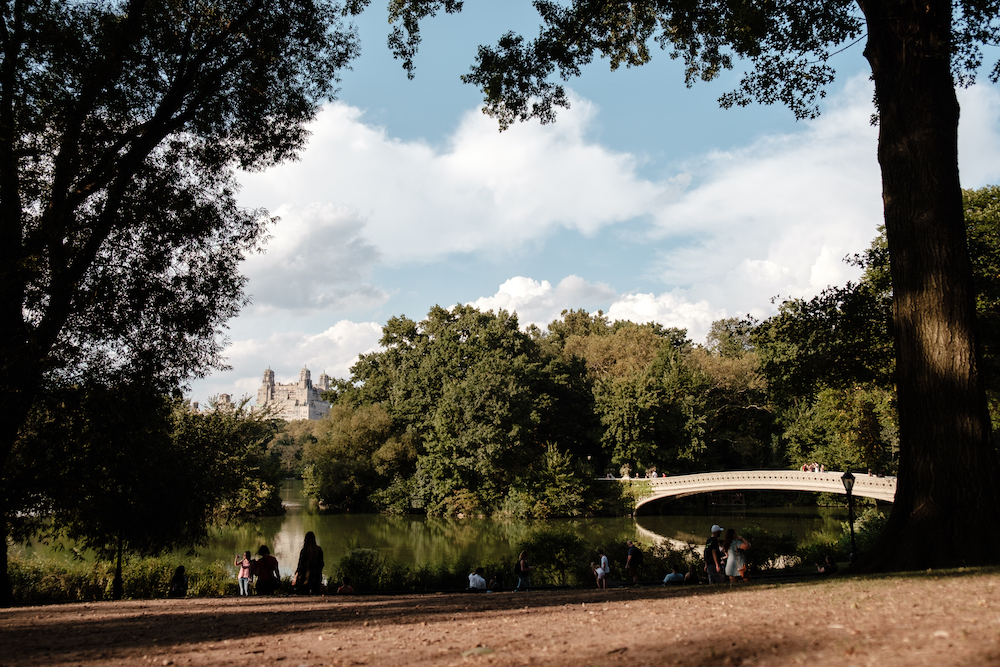 Central Park, New York Travel and Street Photography by Ben Holbrook from DriftwoodJournals.com-0912
