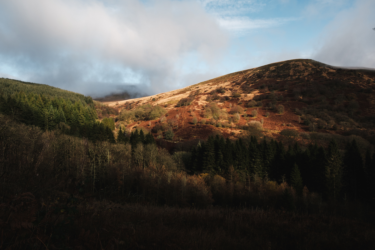 Brecon Beacons, Wales, UK - Travel and Street Photography by Ben Holbrook from DriftwoodJournals.com-6822